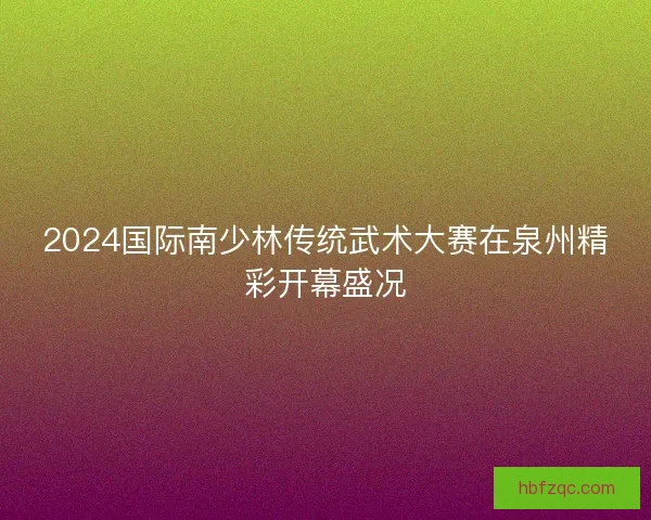 2024国际南少林传统武术大赛在泉州精彩开幕盛况