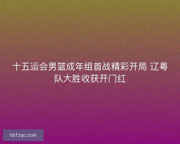 十五运会男篮成年组首战精彩开局 辽粤队大胜收获开门红